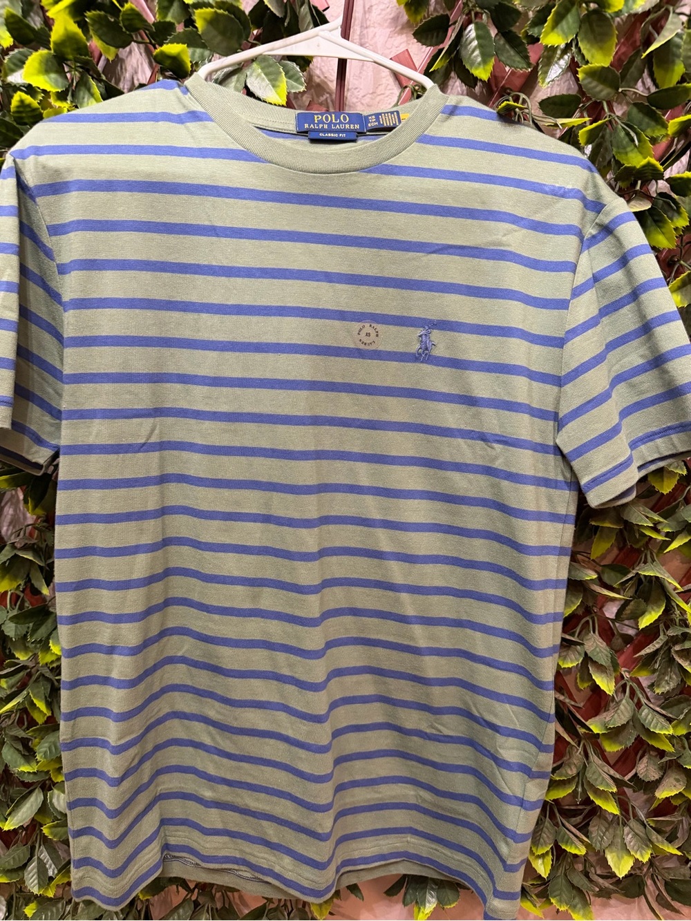 Polo by Ralph Lauren Green and Blue Striped Crew Neck T-Shirt